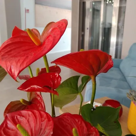 Hotel Salapia Salis